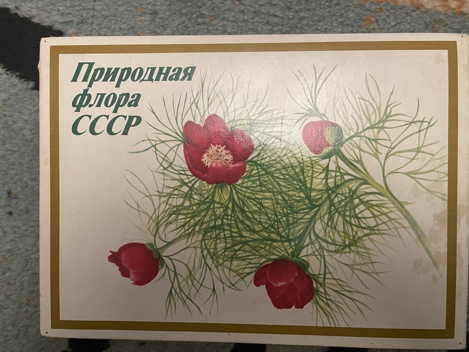 Спички коллекционные