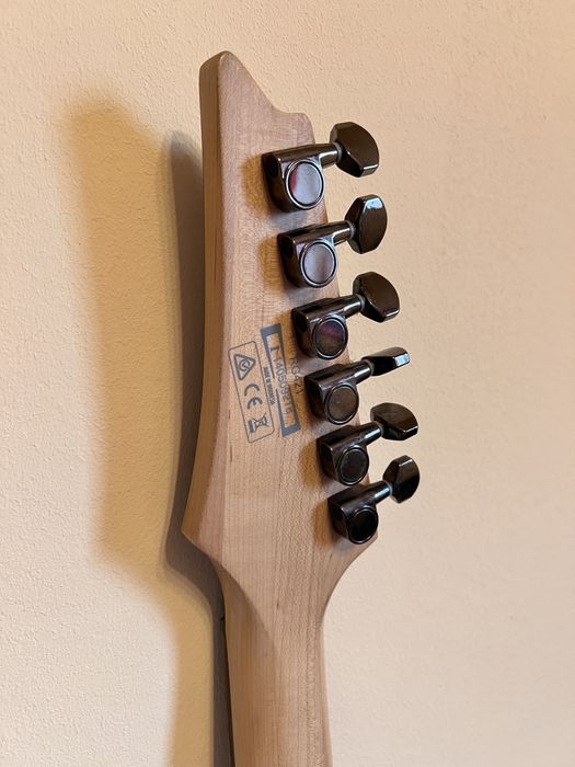 Chitară electrică Ibanez RG421