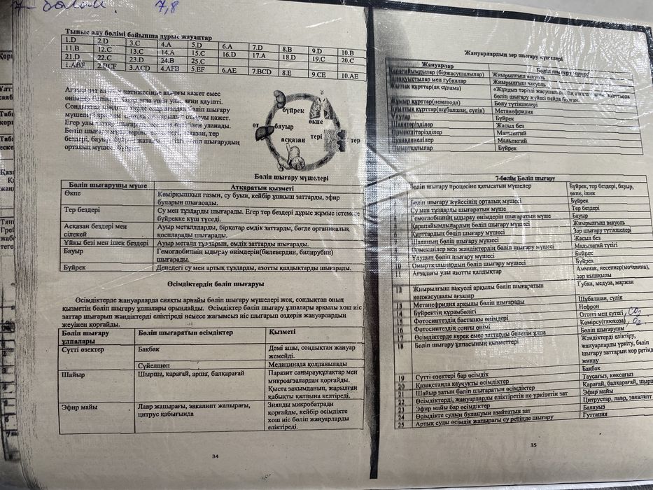 Биологиядан ентдан 100% келетин китап