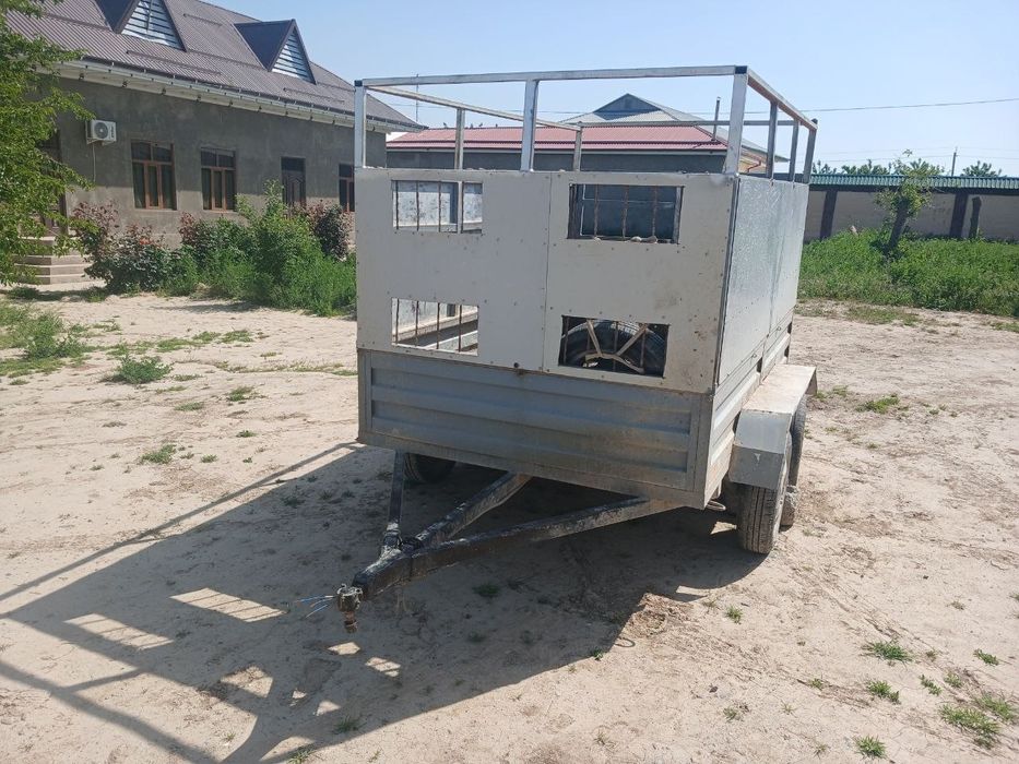 Moshina uchun tilichka