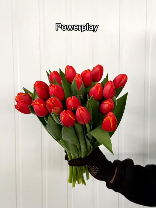 Доставка цветов по г.Семей