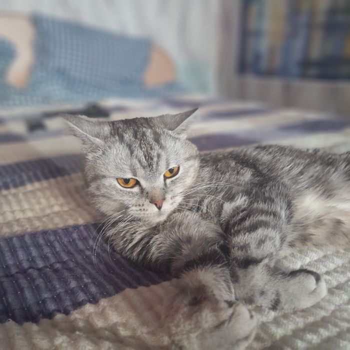 Отдам в добрые руки!