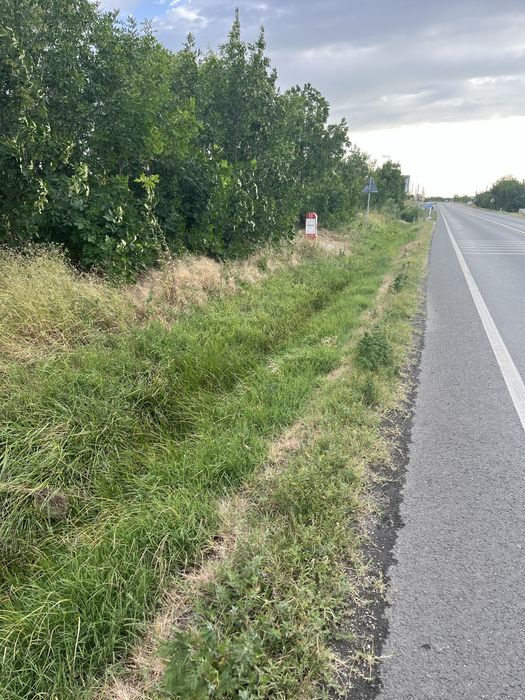 Teren de vanzare Pielesti, 6300 m2, cu descidere 33 de ml , la DN 65, Craiova-Pitesti!