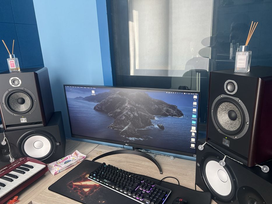 Focal solo 6 студийные мониторы