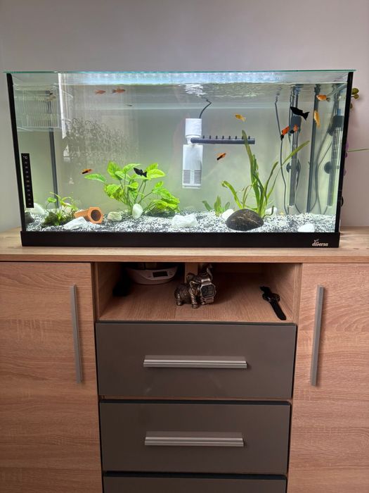 Vand Acvariu 120 Litri Complect