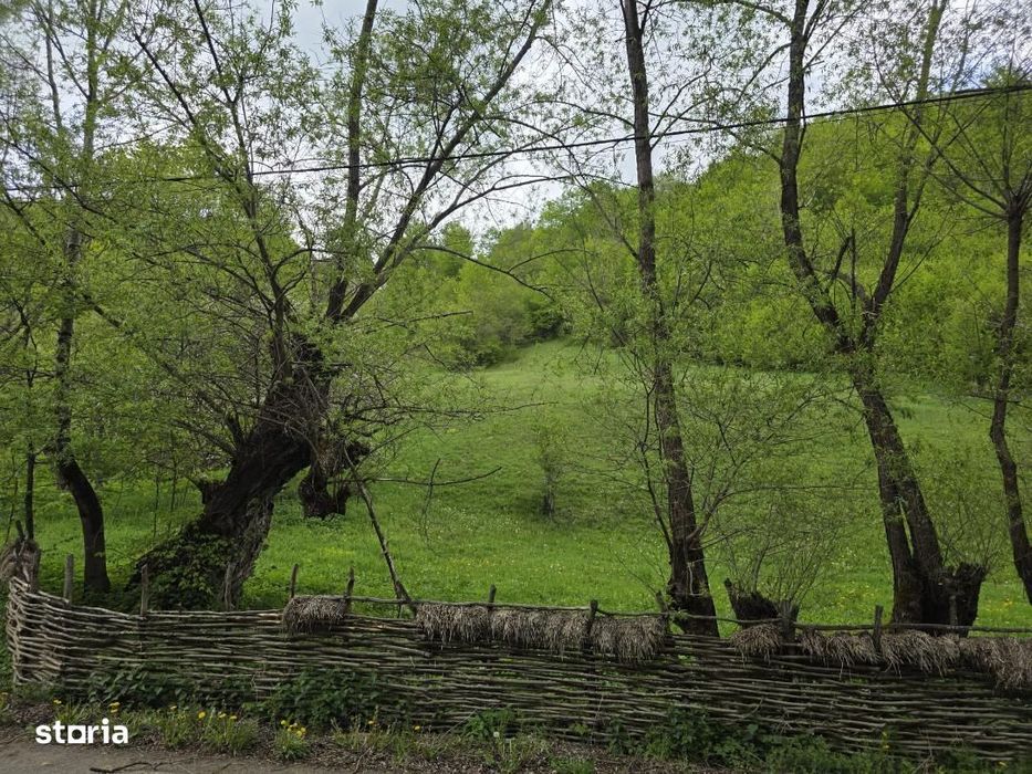 Teren extravilan in suprafata de 3.100 mp. situat pe Transapuseana-Pon