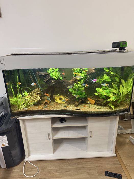 Acvariu 280 litri