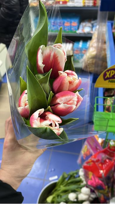 Тюльпаны по 600 тенге