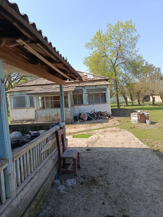 Дача сотилади. 60 сот Сирдаре вилоятида дарега якин