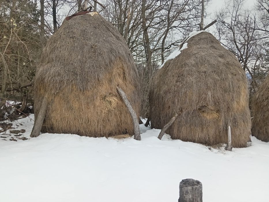 Vînd  Fîn mărunt pentru oi nepoluat și bine uscat!