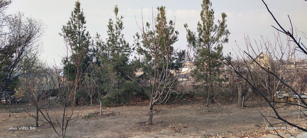 Продаю свою дачу в майске