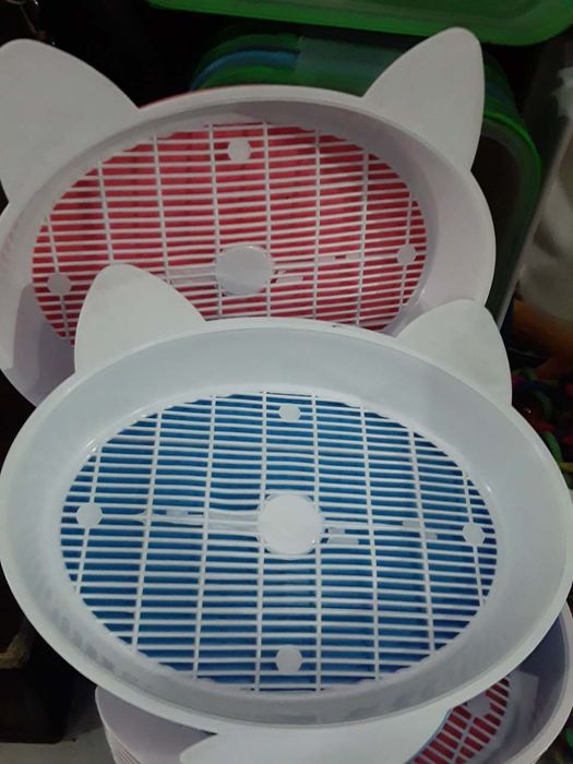 scottiw strayt heyland