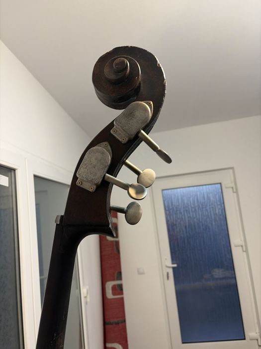 Bass de vanzare fin 1954