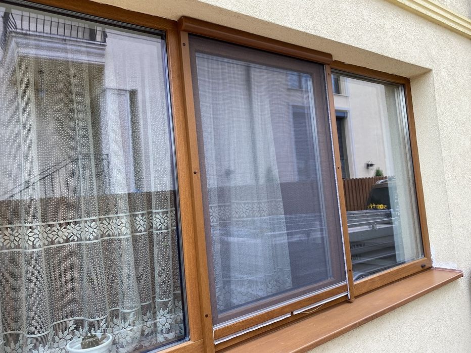 Plase insecte plase de tantari, plisee, balamale; rulou