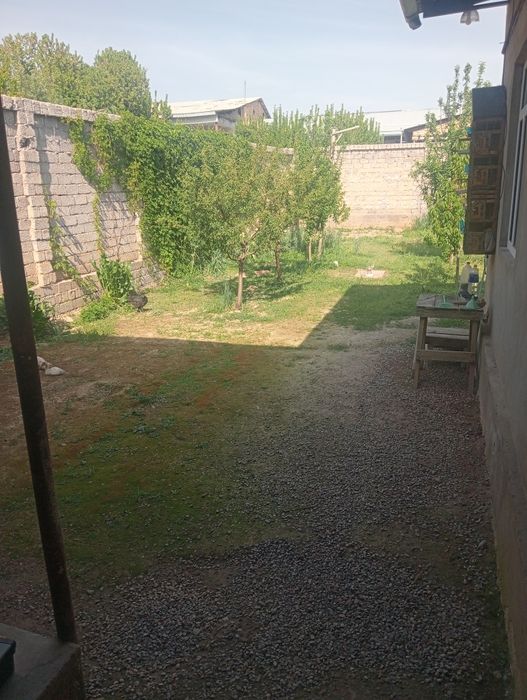 Уй хавли сотилади Маданиятда