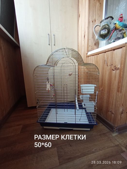Клетка для попугаев