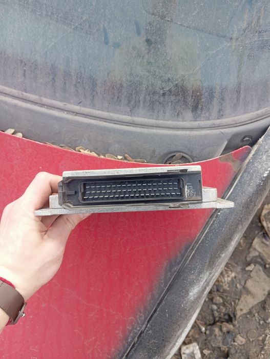 Мозги январь 5.1