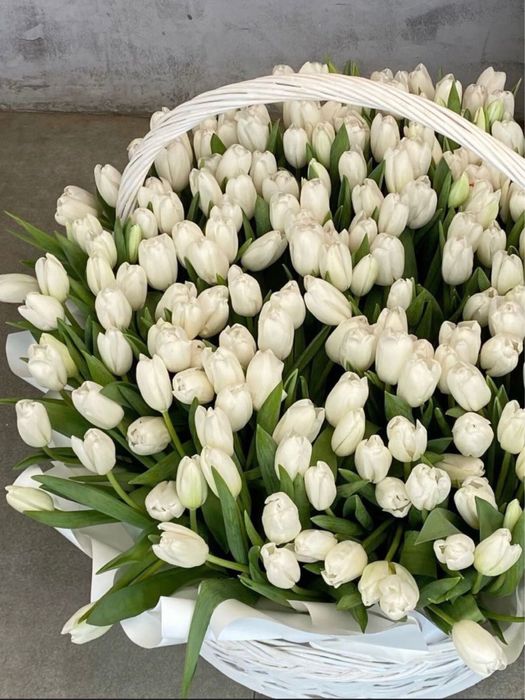 Тюльпаны оптом и в розницу