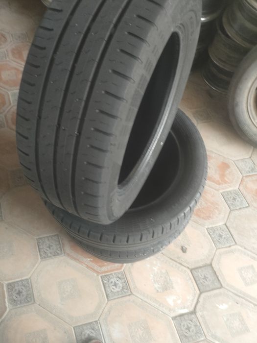 Болон болоны шины