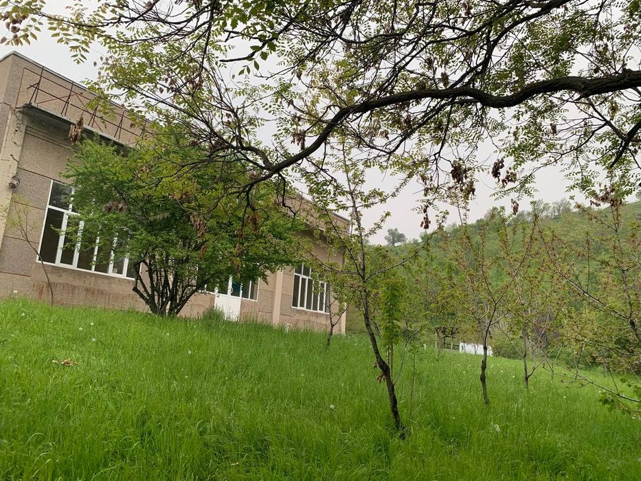 Kumushkonda joylashgan dalahovli sotiladi