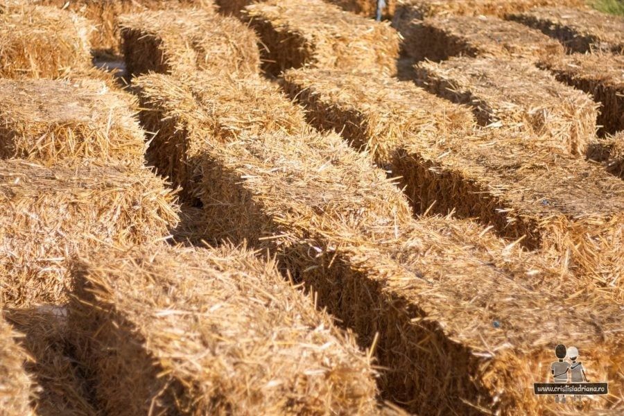 Vând baloti de paie