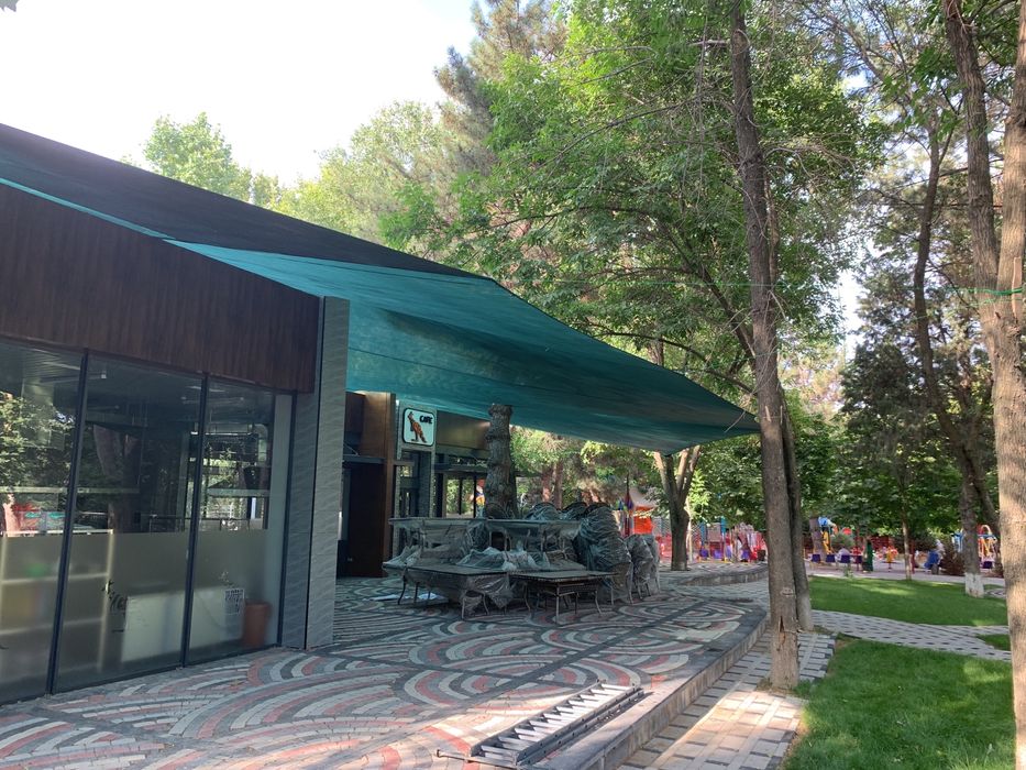 Солнце защитная сетка