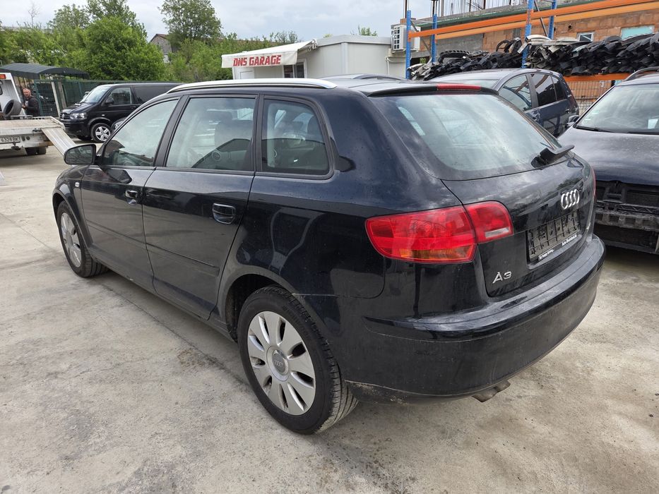 Audi a3 8p 1.9 TDI (НА ЧАСТИ)