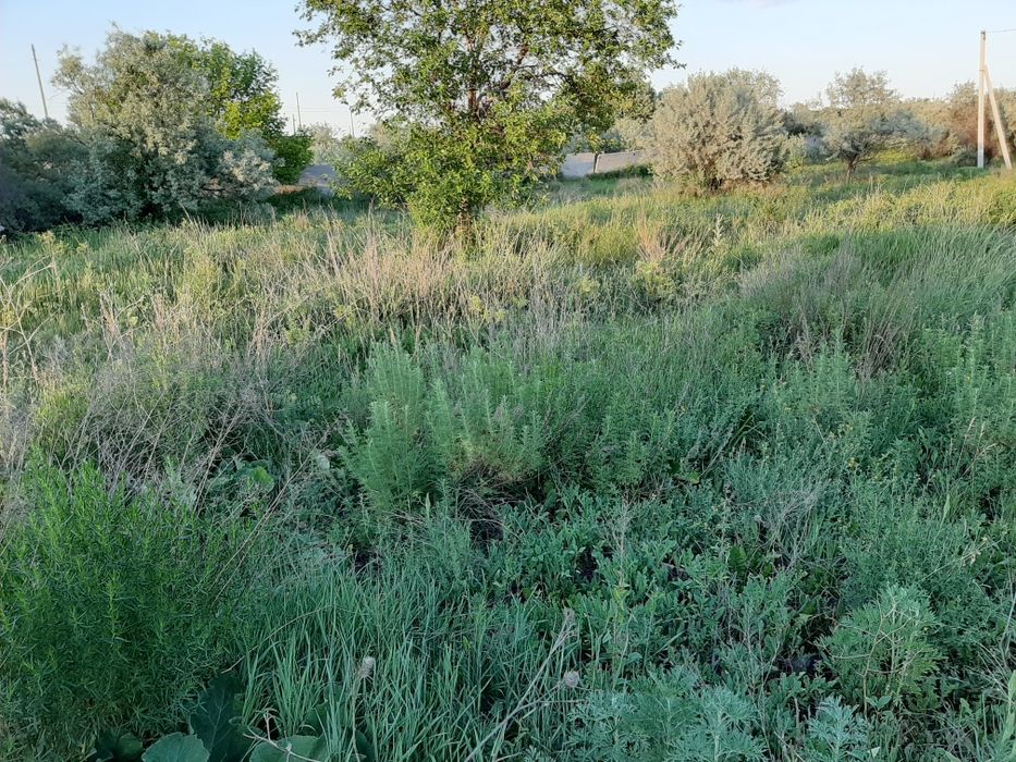 Срочно продам участок