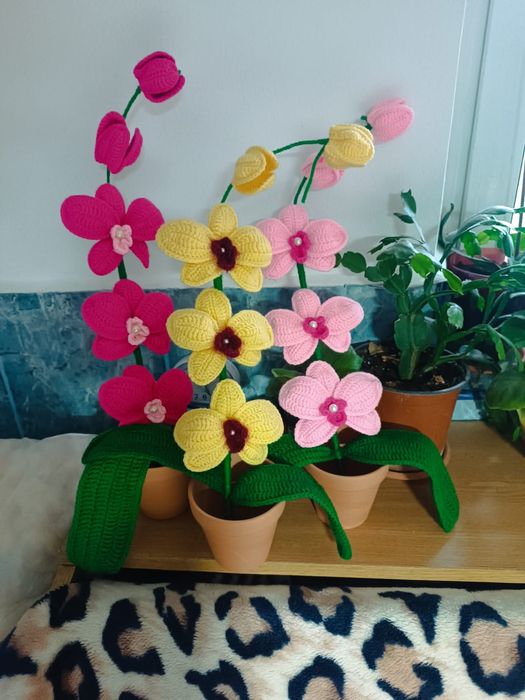 Orhidee crosetata manual