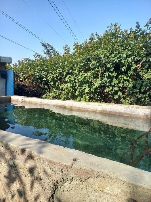 Продаётся дача. 20 соток