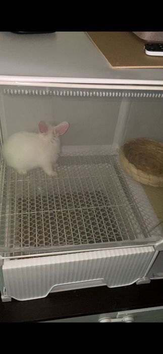 Продам клетку для кролика