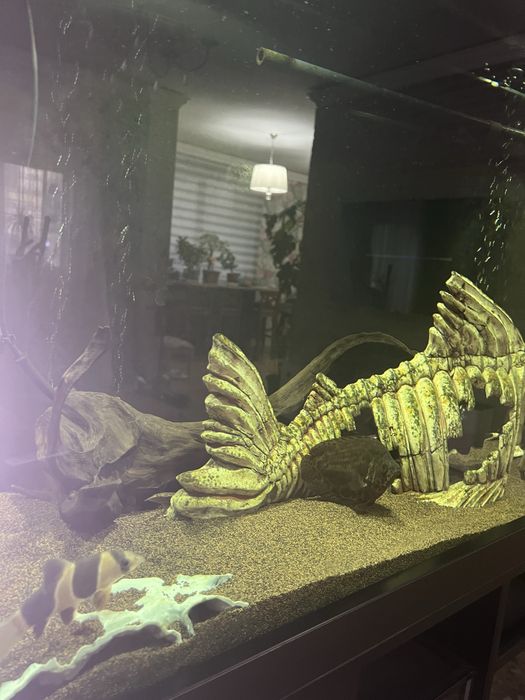 Продам аквариум 330 литров