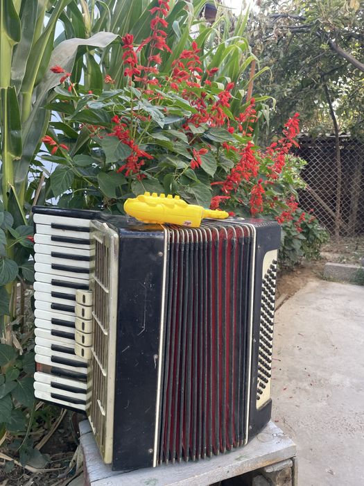 Аккордеон сатылады