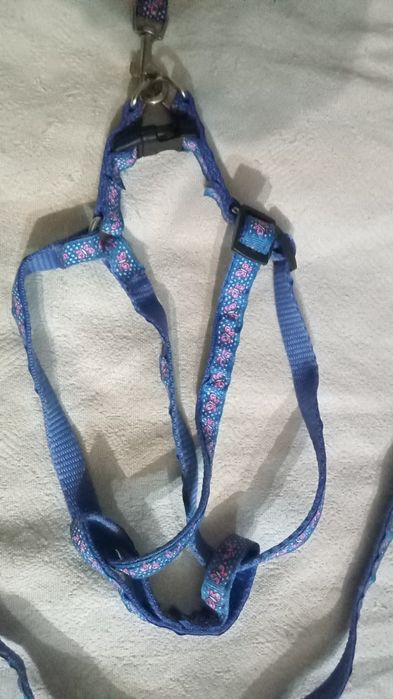 Поводки для собак