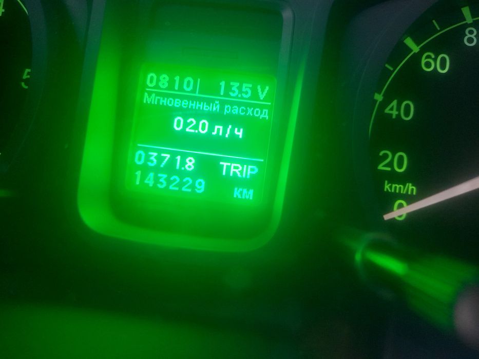 Газел бартавой сотилади