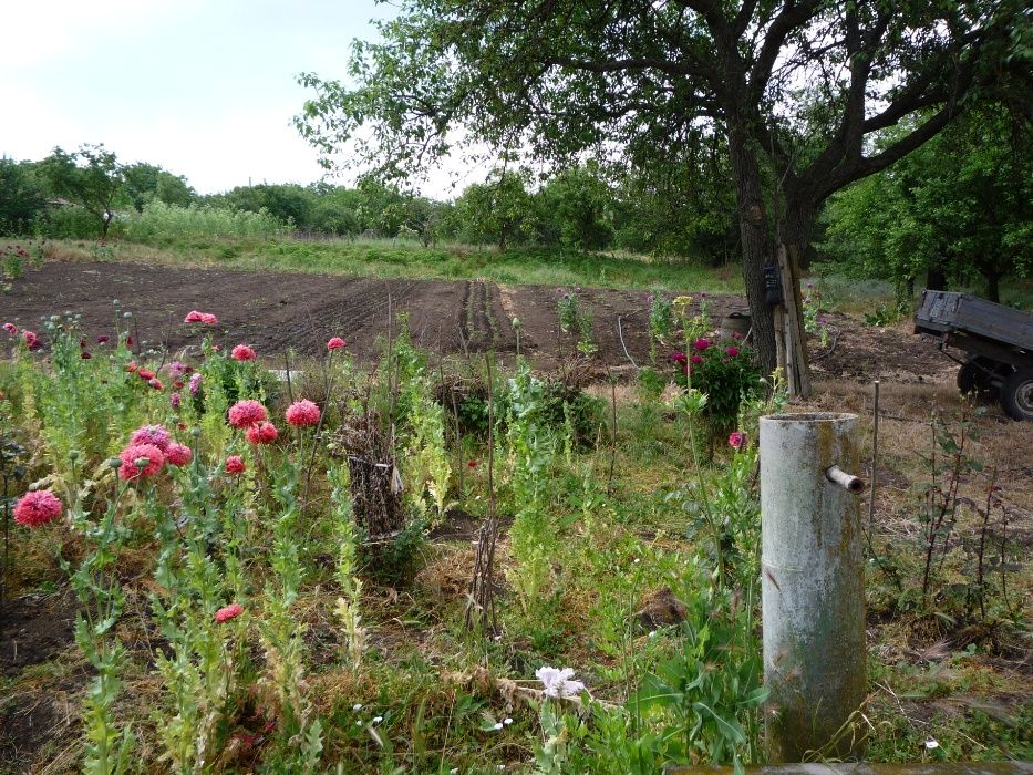 Продава се Къща в Добрич, Дружба 1 - 70 кв.м за 115 €/кв.м - Снимка #1