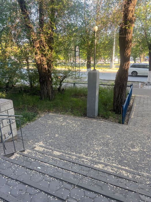Сдам в аренду помещение под магазин