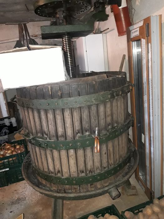 Doua teascuri (presa de struguri)