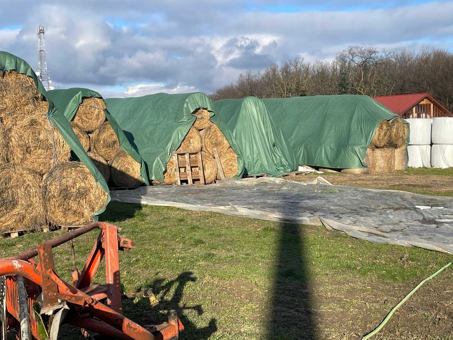 Baloti de lucerna ecologica infoliata - semifân, siloz și fan - uscata
