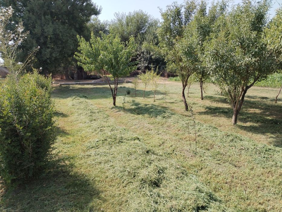 Quruq yer sotiladi!!