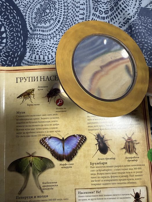 Образователни книги за деца