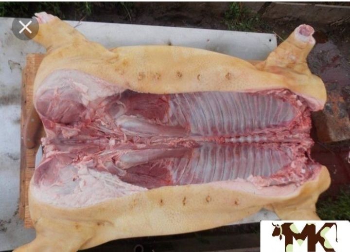 Мясо Свинина домашнее