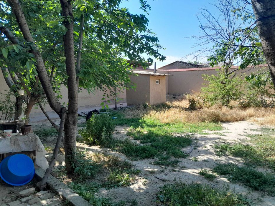 Залинида ховли сотилади тахминан 170 кв