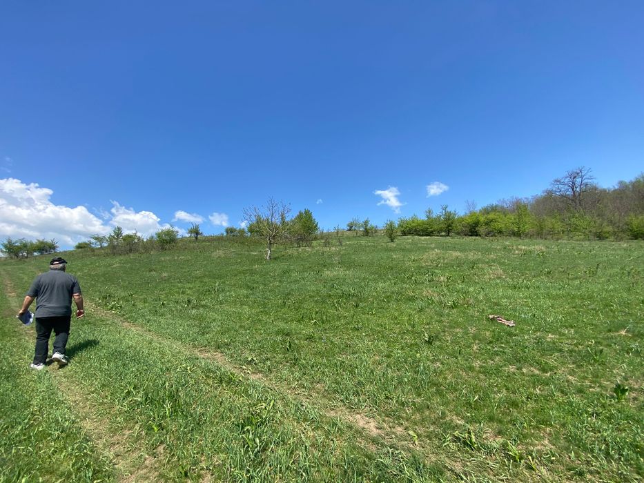 Teren 14,61 ha de vânzare – Hălmeag, Brașov