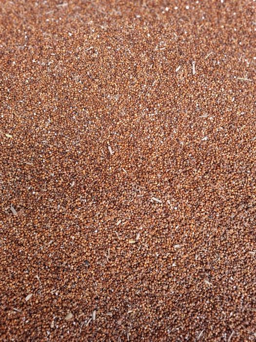 Vand SORG  .detalii la telefon