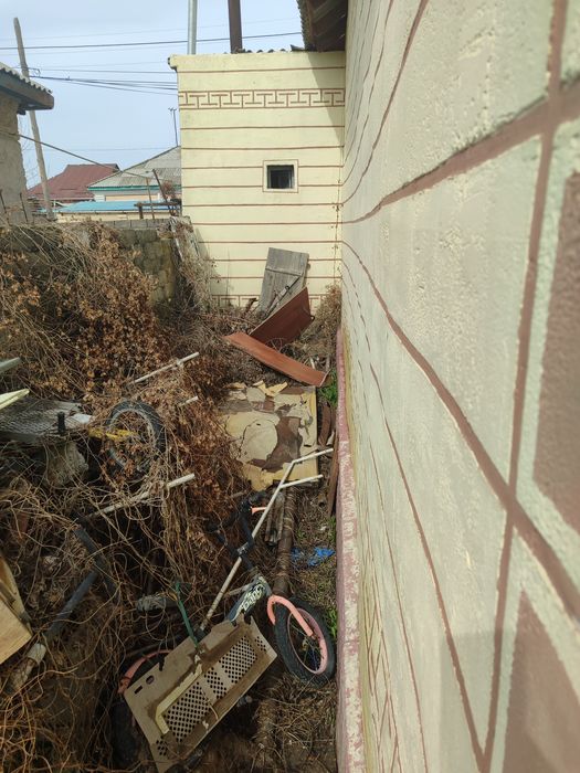 Өтын ағаш тегін.