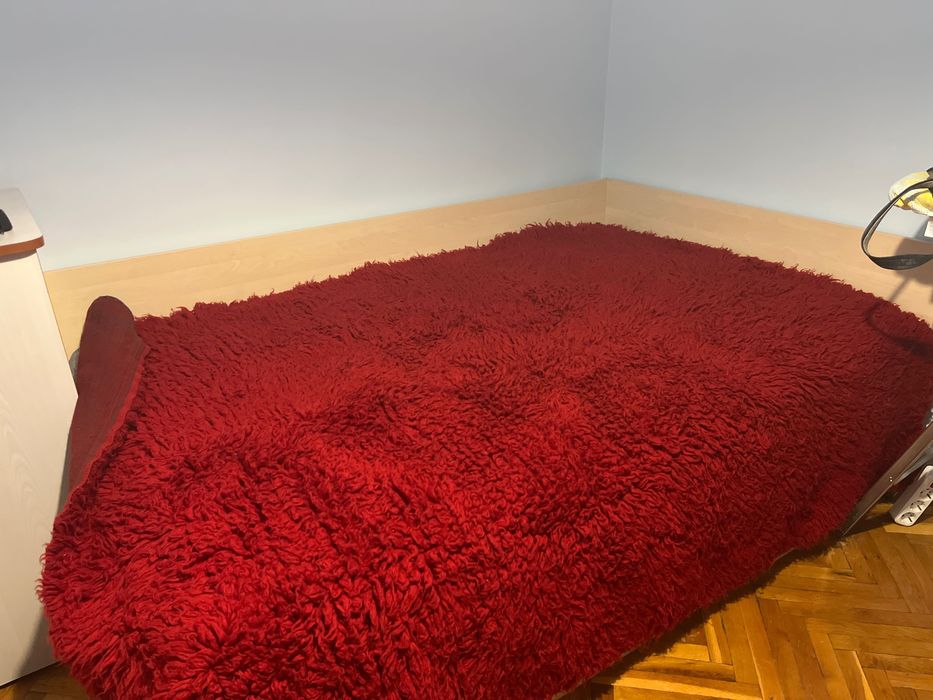 Червен китеник вълнен