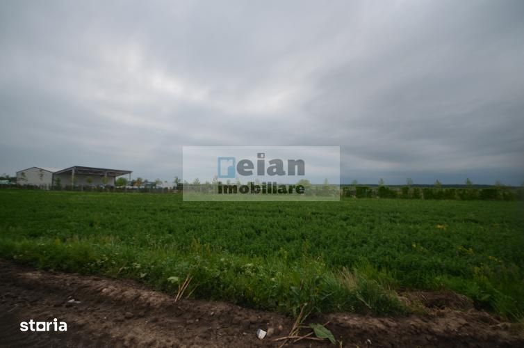 Dascalu - Teren 7ha, Deschidere 130 Ml La Dj 200, Utilitati Investitie