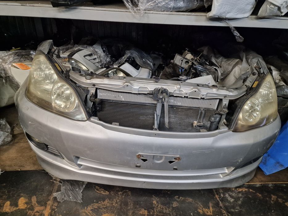 Морда,Носкат Toyoya Ipsum,Picnic