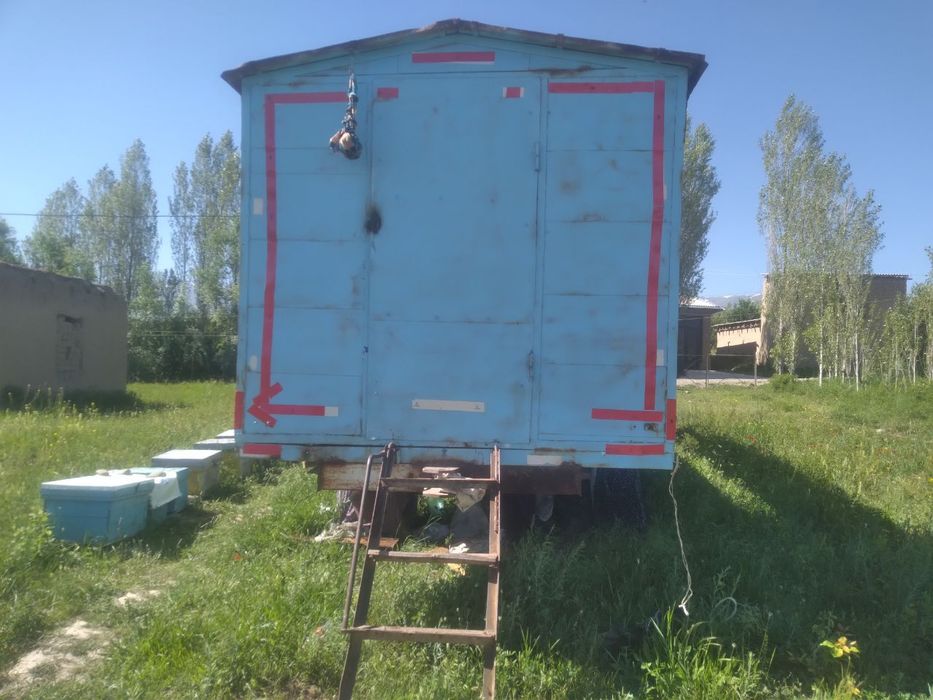 Diqqat!Asalari uyalari sotiladi.Holati yangi